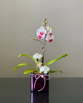 Miniature Orchid,mother's day bouquet