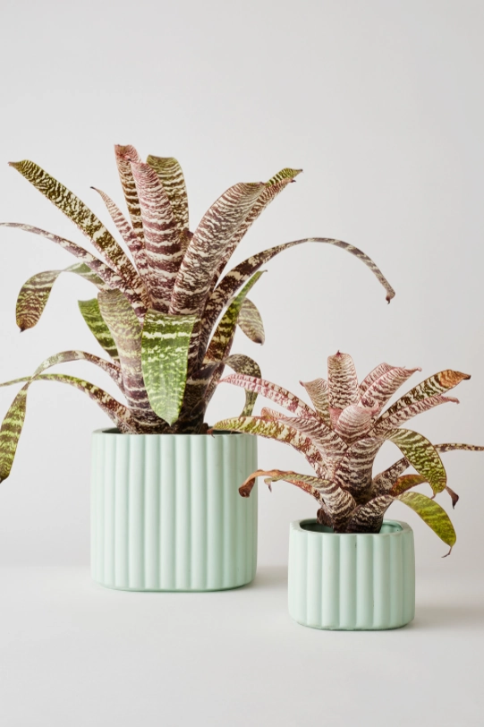 Modular Stack Planter Mint