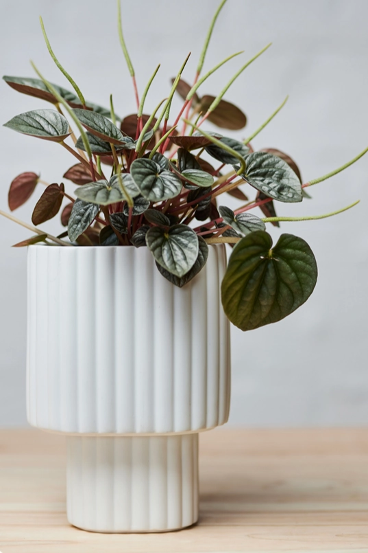 Modular Stack Planter white