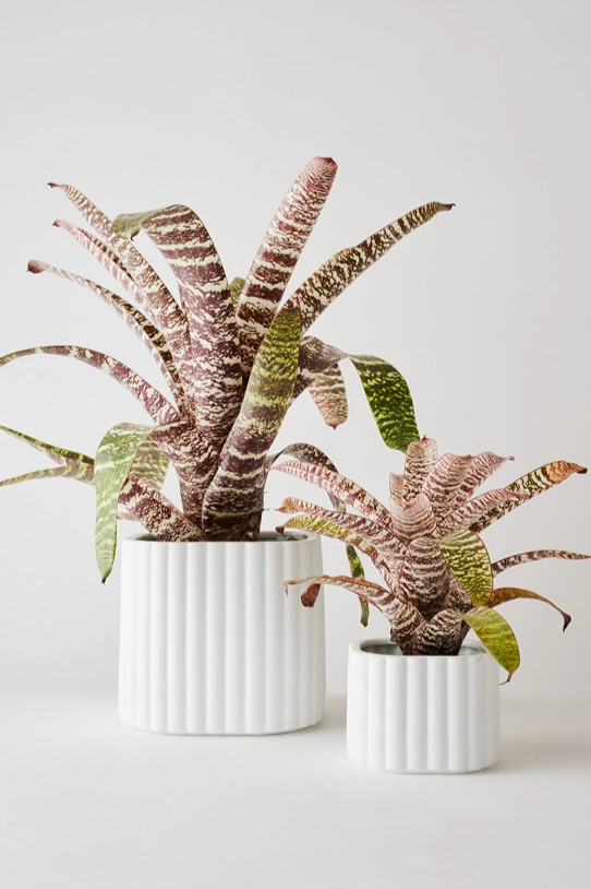 Modular Stack Planter white