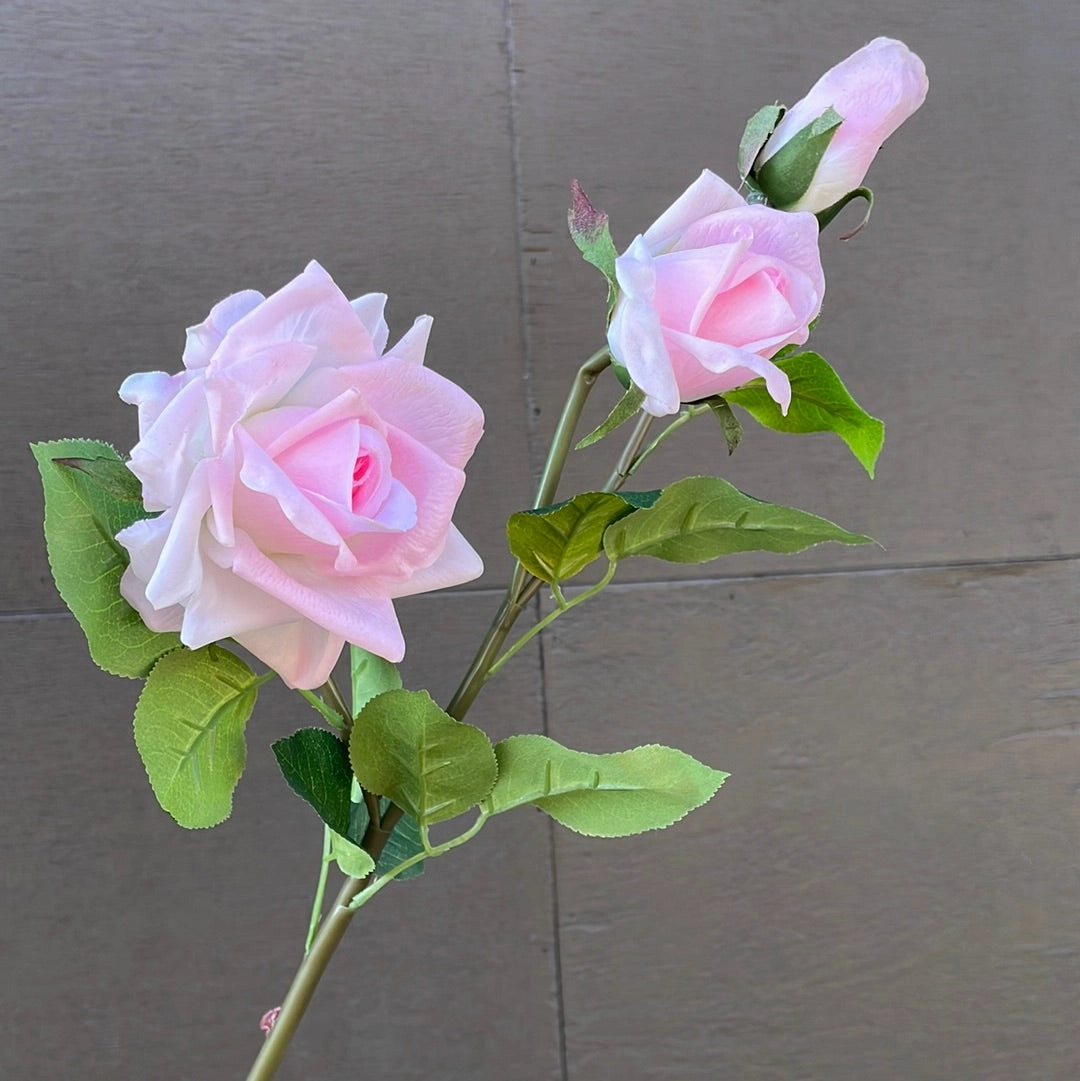Moist Touch Real Touch Open Rose Pink