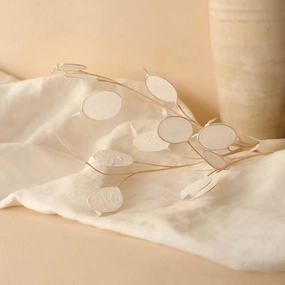 Monnaie du pape en papier blanche,mother's day bouquet