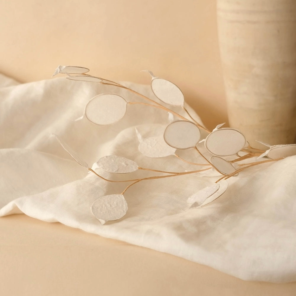 Monnaie du pape en papier blanche,mother's day bouquet