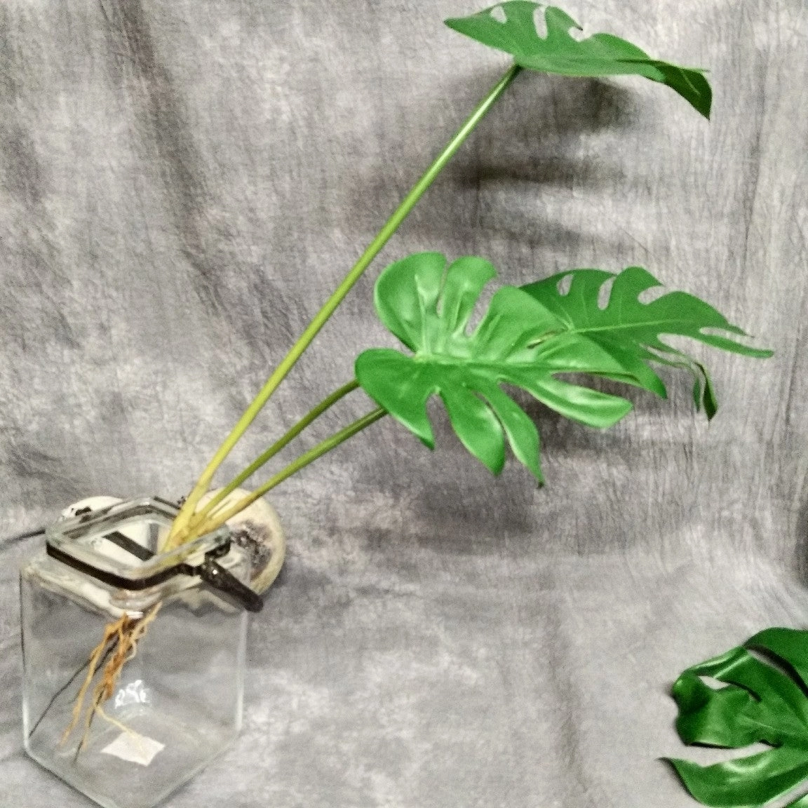 Monstera Deliciosa Artificial Foliage Bunch GREENERY0007