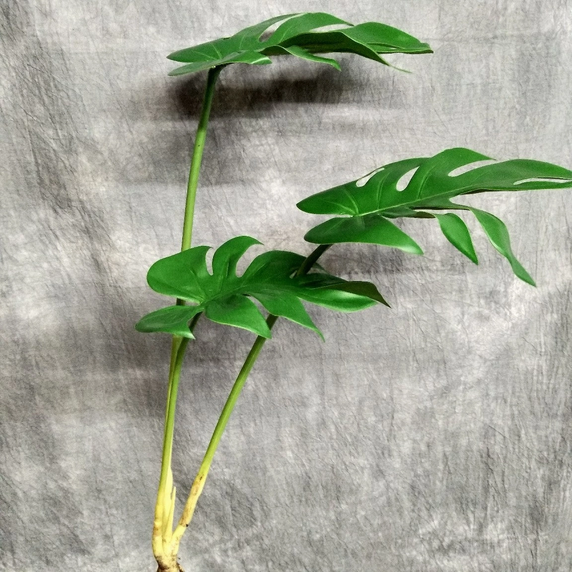 Monstera Deliciosa Artificial Foliage Bunch GREENERY0007