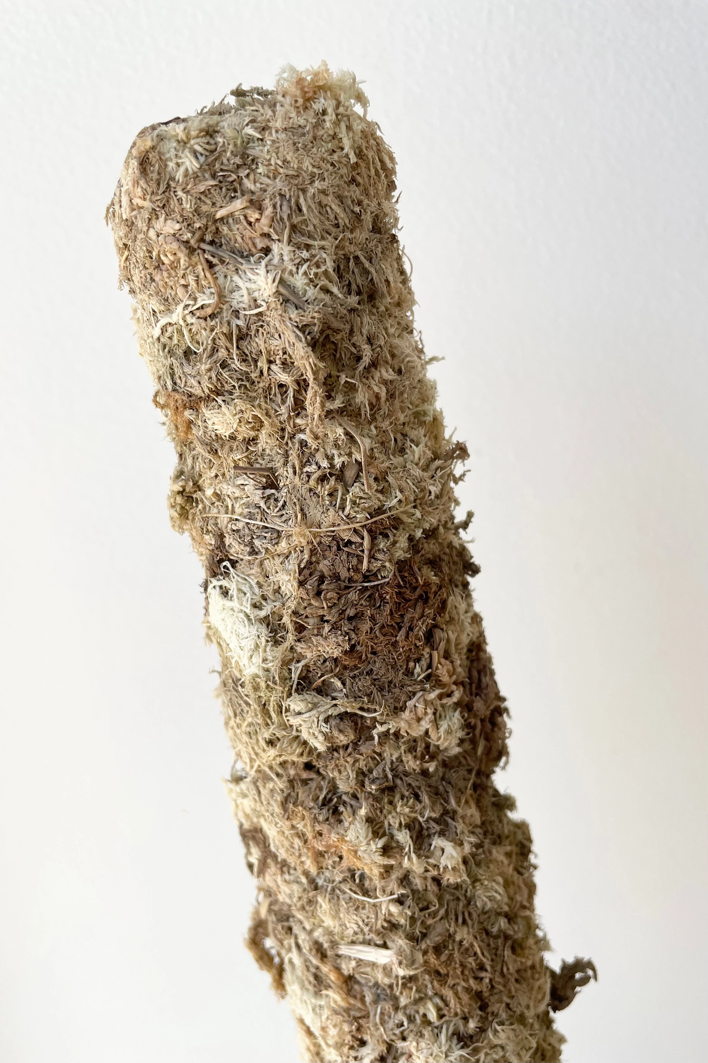Moss Pole 24"