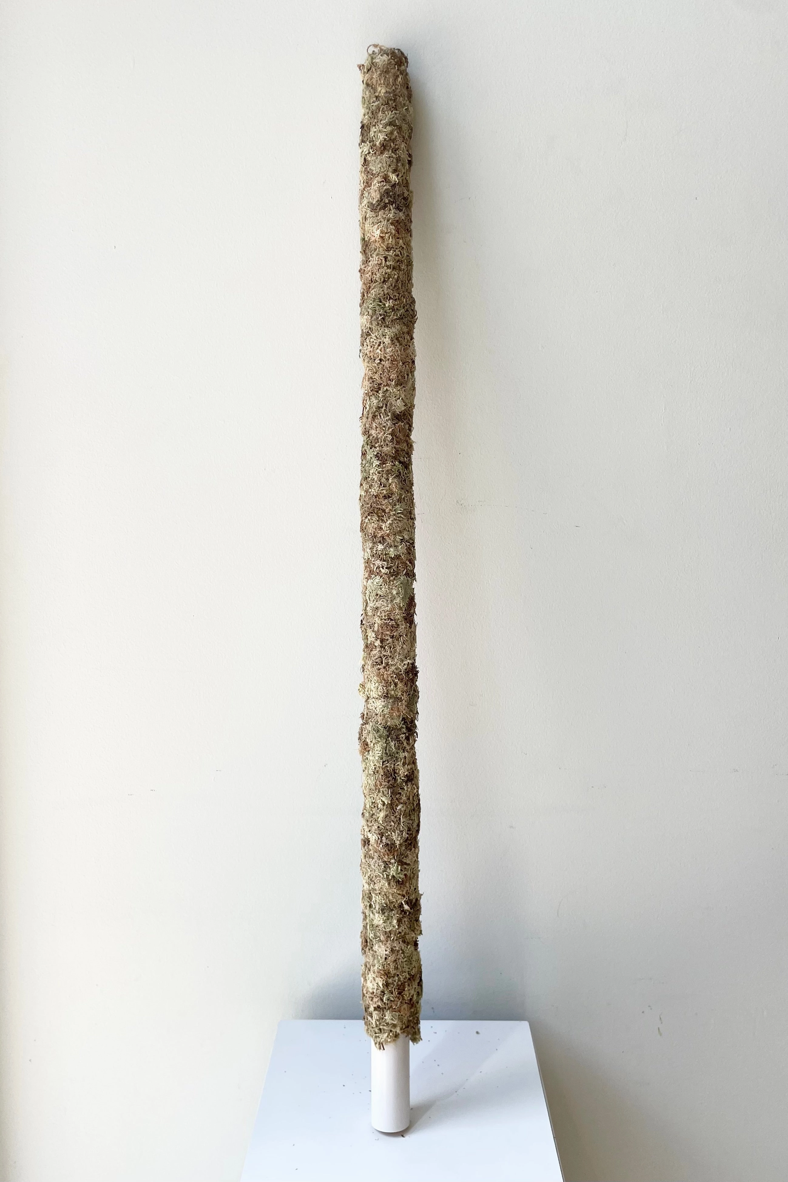 Moss Pole 36",potted plant decor
