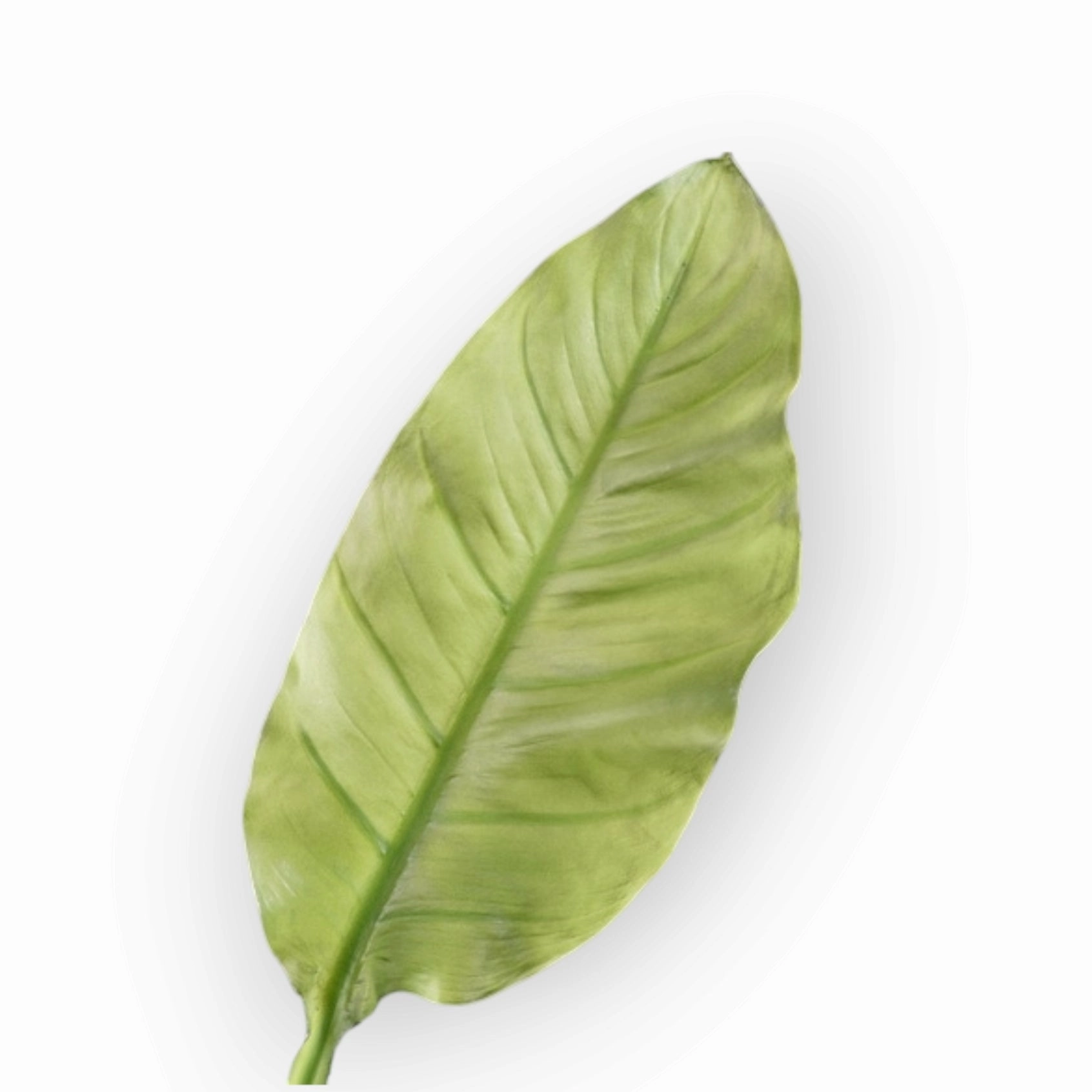 Musa Basjoo Artificial Greenery Giant MUSABASJOO001