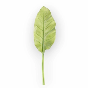 Musa Basjoo Artificial Greenery Giant MUSABASJOO001,dried artificial flower