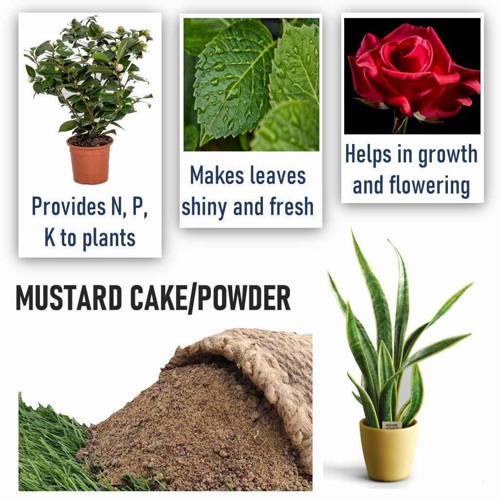 Mustard Cake (935 gm) And Organic Panchgavya Fertilizer (20 gm)