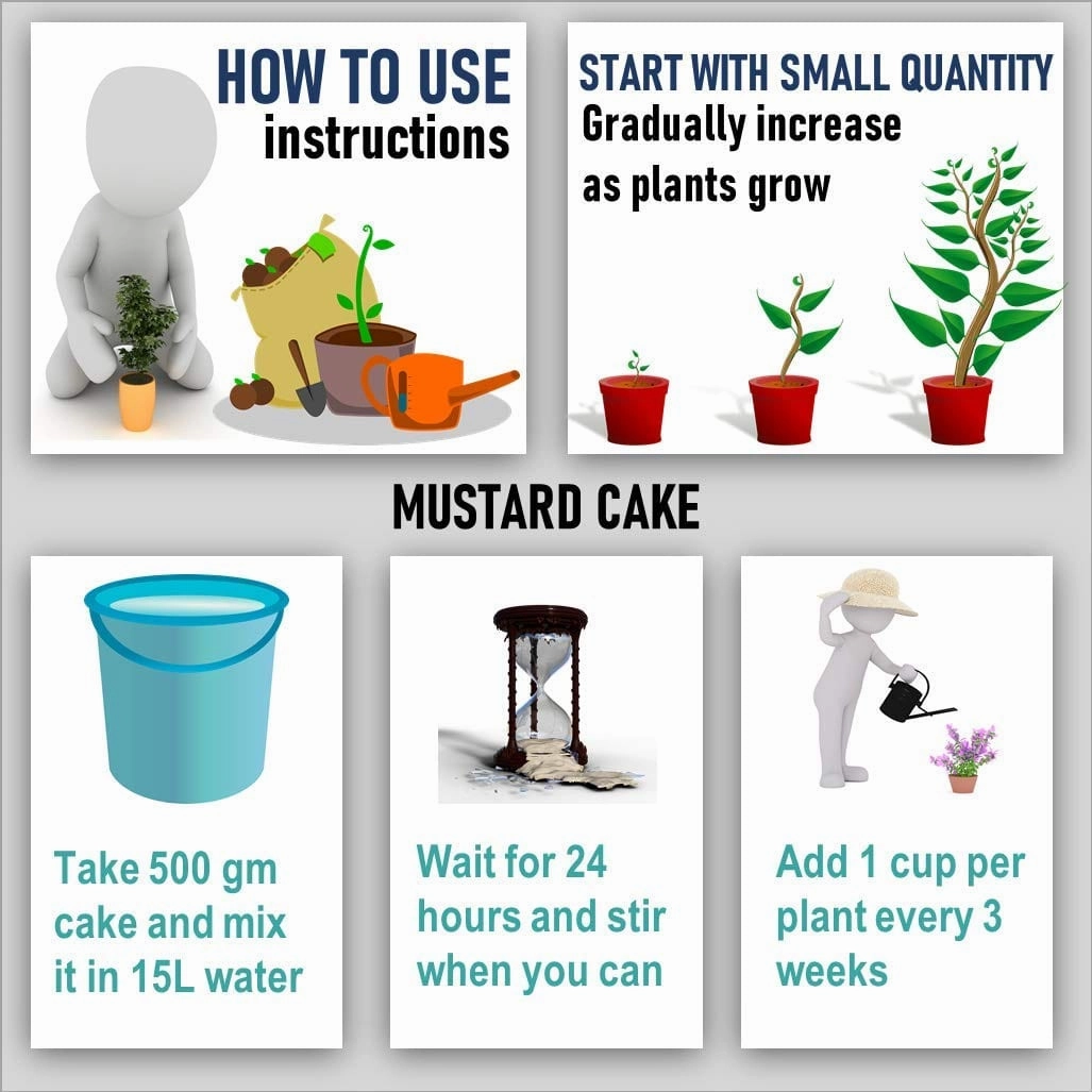Mustard Cake (935 gm) And Organic Panchgavya Fertilizer (20 gm)