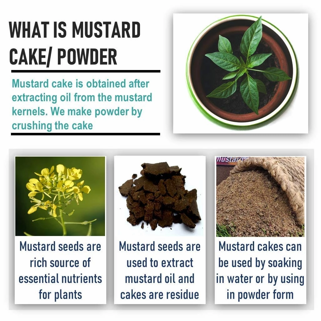 Mustard Cake Powder and Cocopeat Block