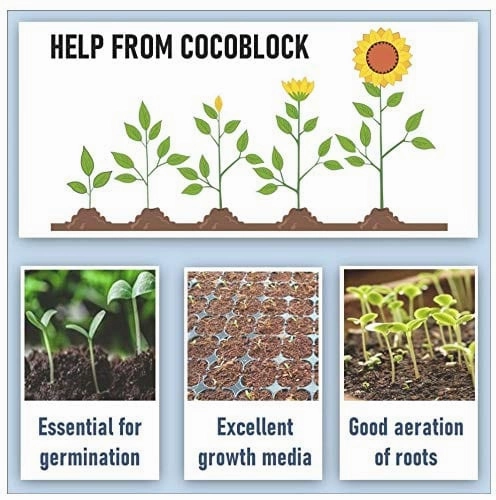 Mustard Cake Powder and Cocopeat Block