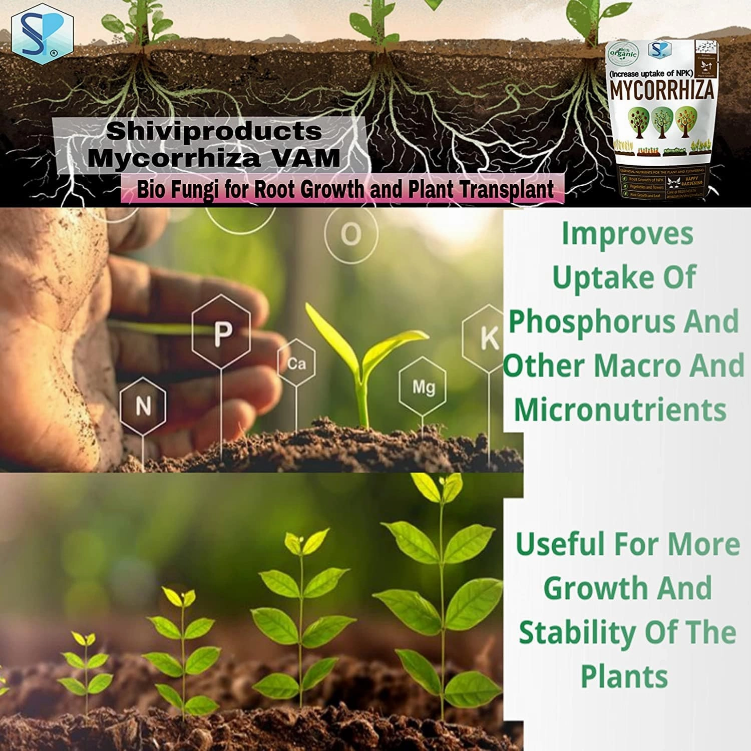 Mycorrhiza VAM Bio Fungi For Root Growth And Plant Transplant