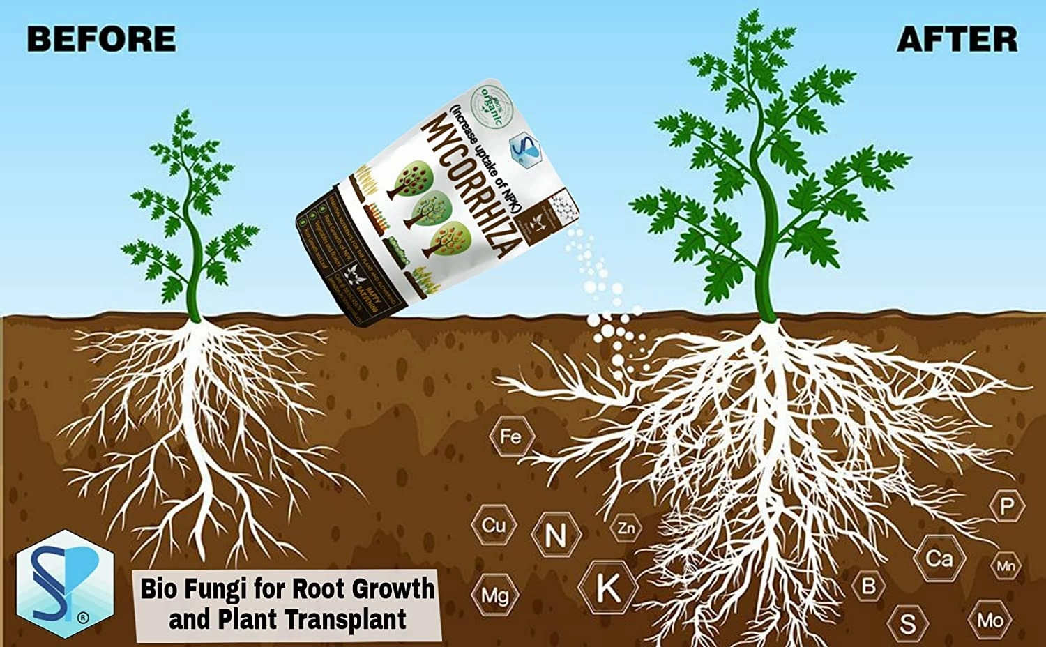 Mycorrhiza VAM Bio Fungi For Root Growth And Plant Transplant
