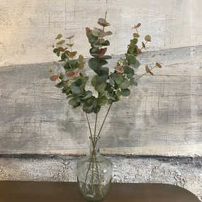 Natural Blush Eucalyptus Spray 85cm,dried artificial flower