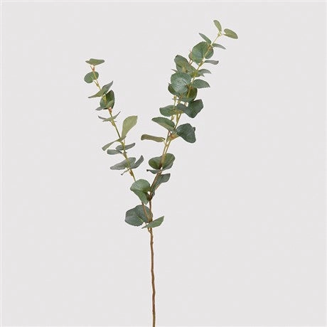 Natural Eucalyptus Spray 75cm