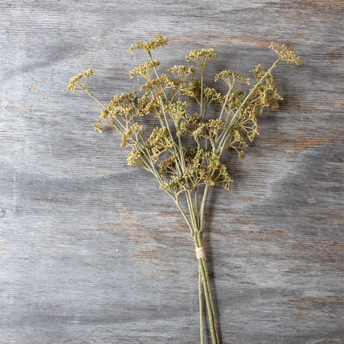 Natural Look Meadow Sedge 55cm