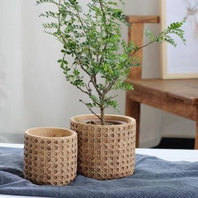 Natural Rattan Texture Cement Planter,planting accessories kit