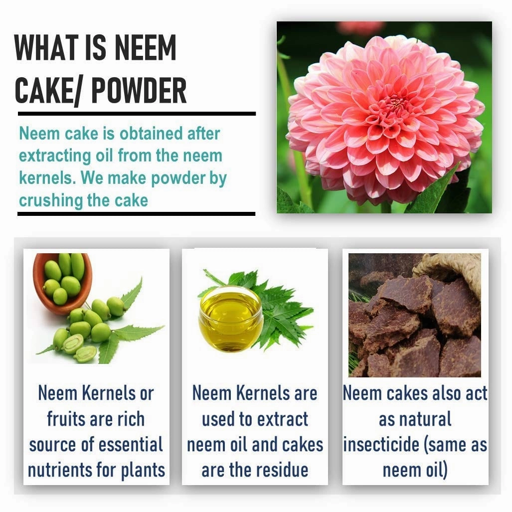 Neem Oil Cake And Pest Repellent