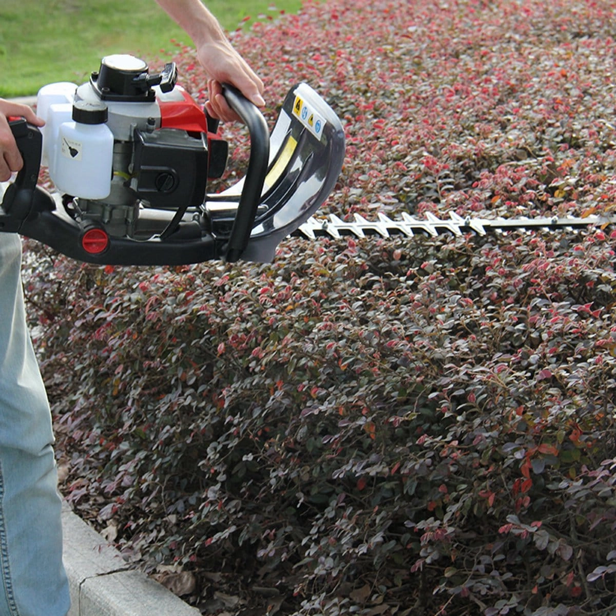 Neptune 2 Stroke Petrol Engine Hedge Trimmer With 24 Inch Cutter Bar HT-600