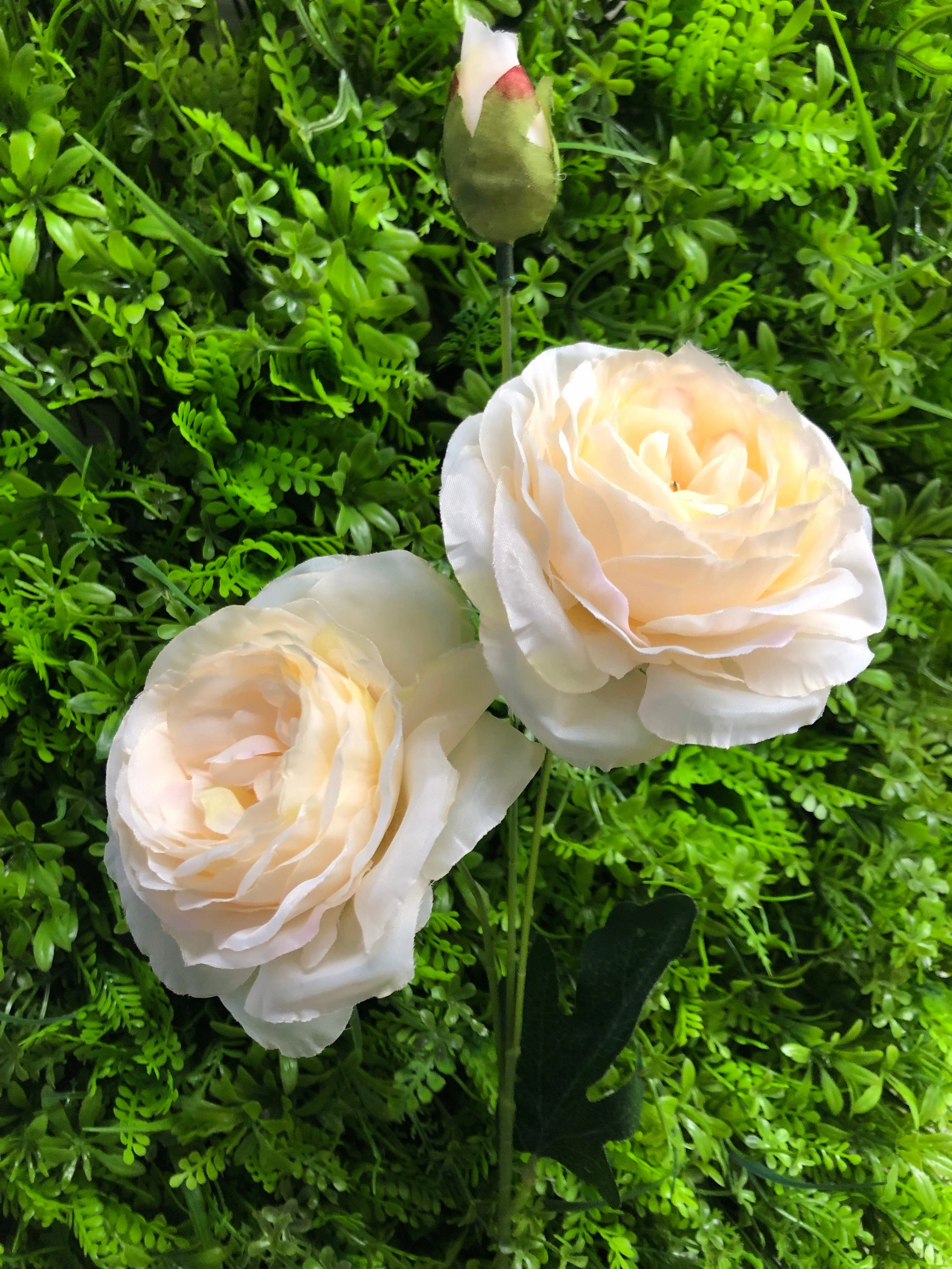 new 2 1 head Champagne Puffy Rose Spray artificial flower artificial flower bouquet  
