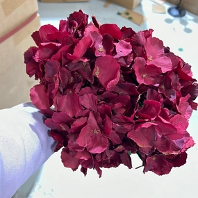 New 7 Head Burgundy Hydrangea Bunch artificial flower bouquet  
