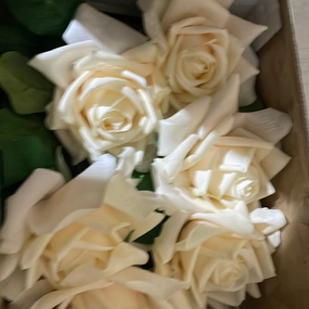New Champagne Duchess Moist TouchT Open Rose (White) realistic flower bouquet  