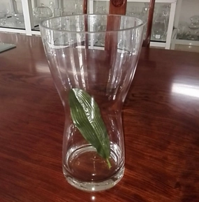 New Clear VASE with gathered waist 10" H MV371-1,aesthetic flower vase