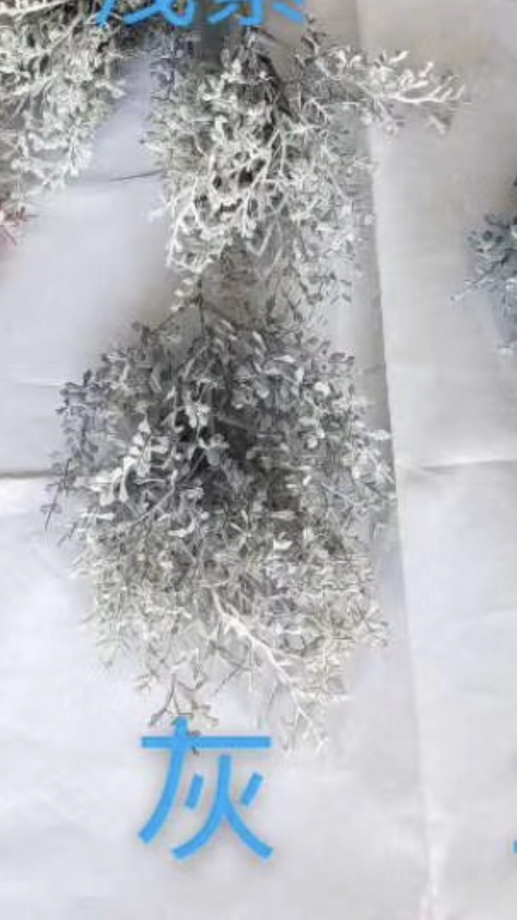 New Grey grass filler greenery solidago