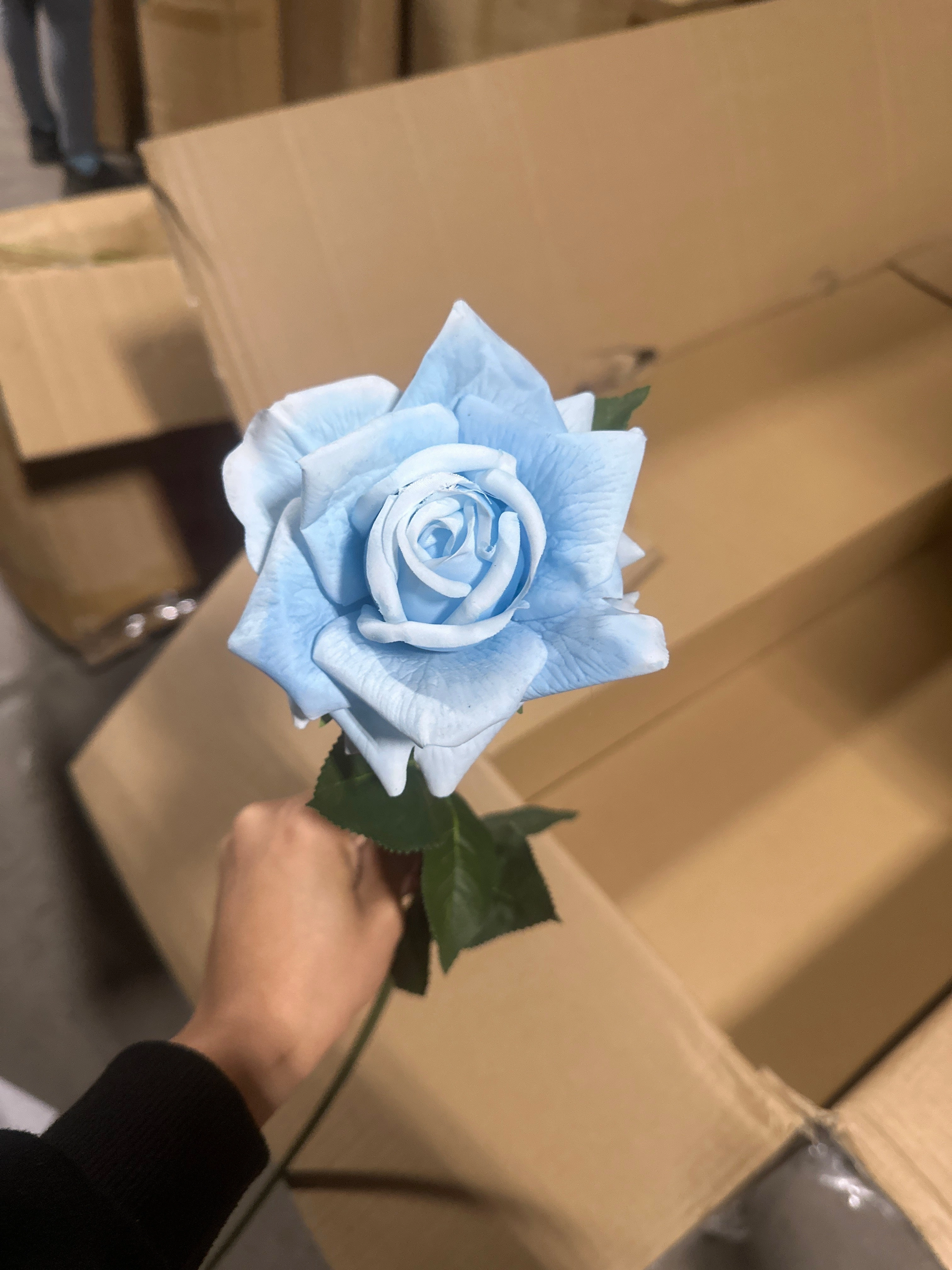 New Light Blue Moist TouchT Open Rose