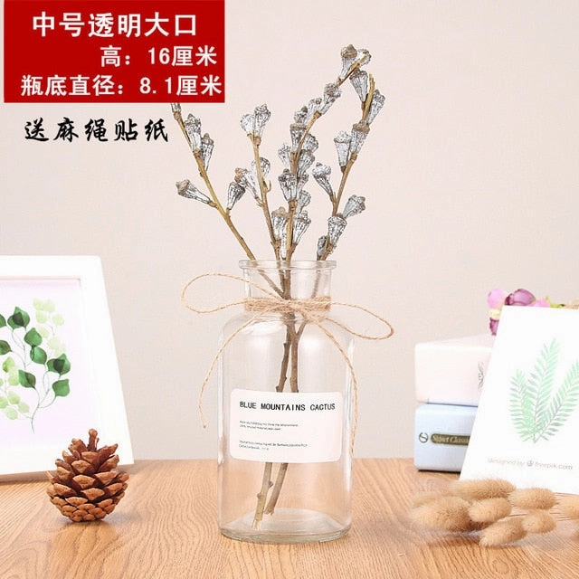 Nordic 20 Kinds  INS Wind Glass