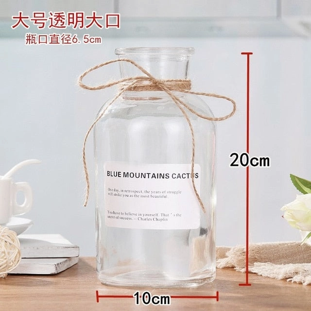 Nordic 20 Kinds  INS Wind Glass