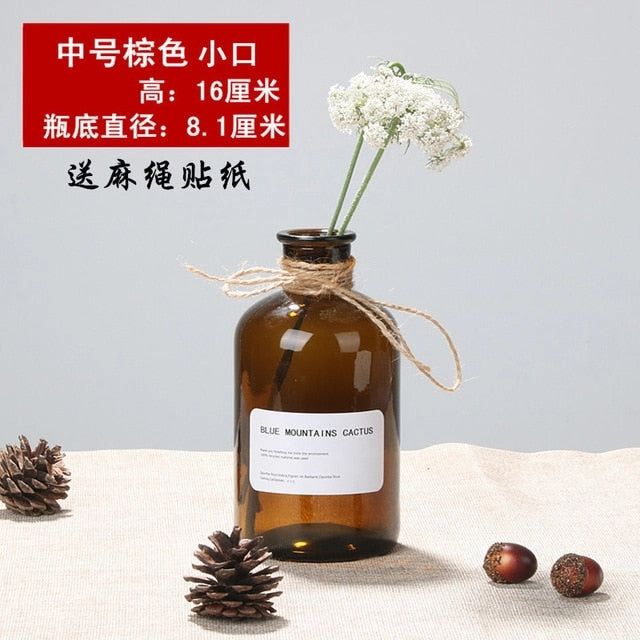 Nordic 20 Kinds  INS Wind Glass