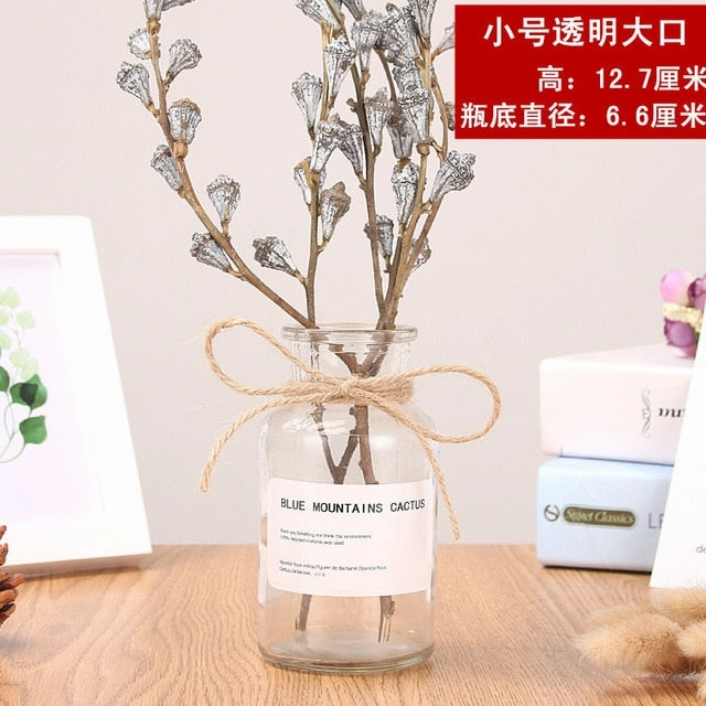 Nordic 20 Kinds  INS Wind Glass