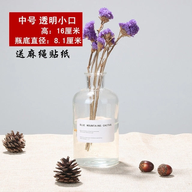Nordic 20 Kinds  INS Wind Glass