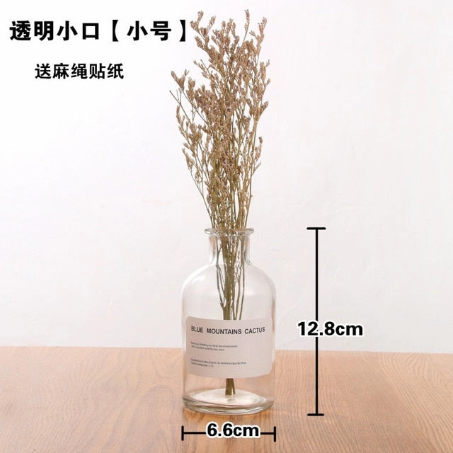 Nordic 20 Kinds  INS Wind Glass