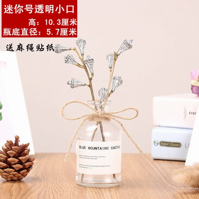 Nordic 20 Kinds  INS Wind Glass
