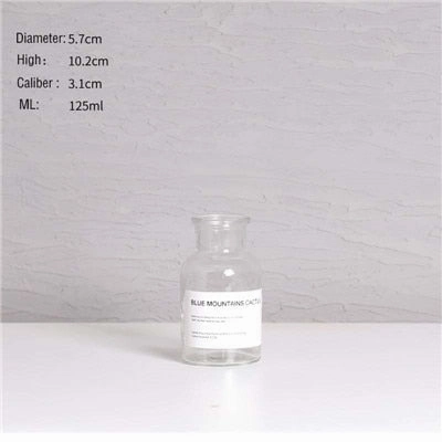 Nordic Design Glass Vase European