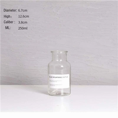 Nordic Design Glass Vase European