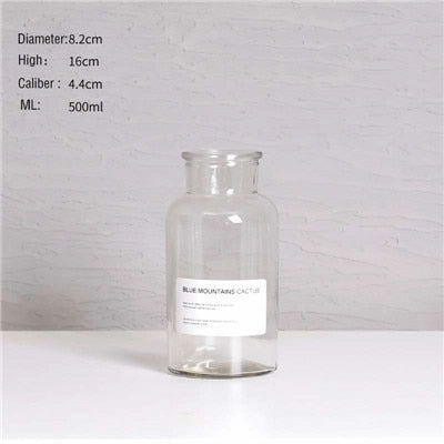 Nordic Design Glass Vase European