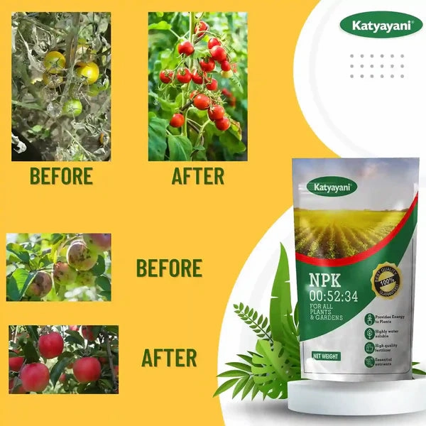NPK 00:52:34 Fertilizer