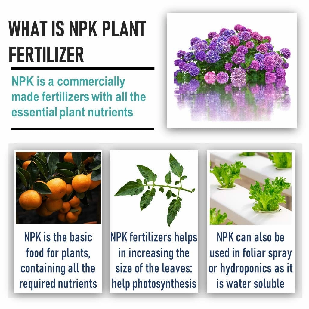 NPK 19 19 19 Fertilizers For Plants