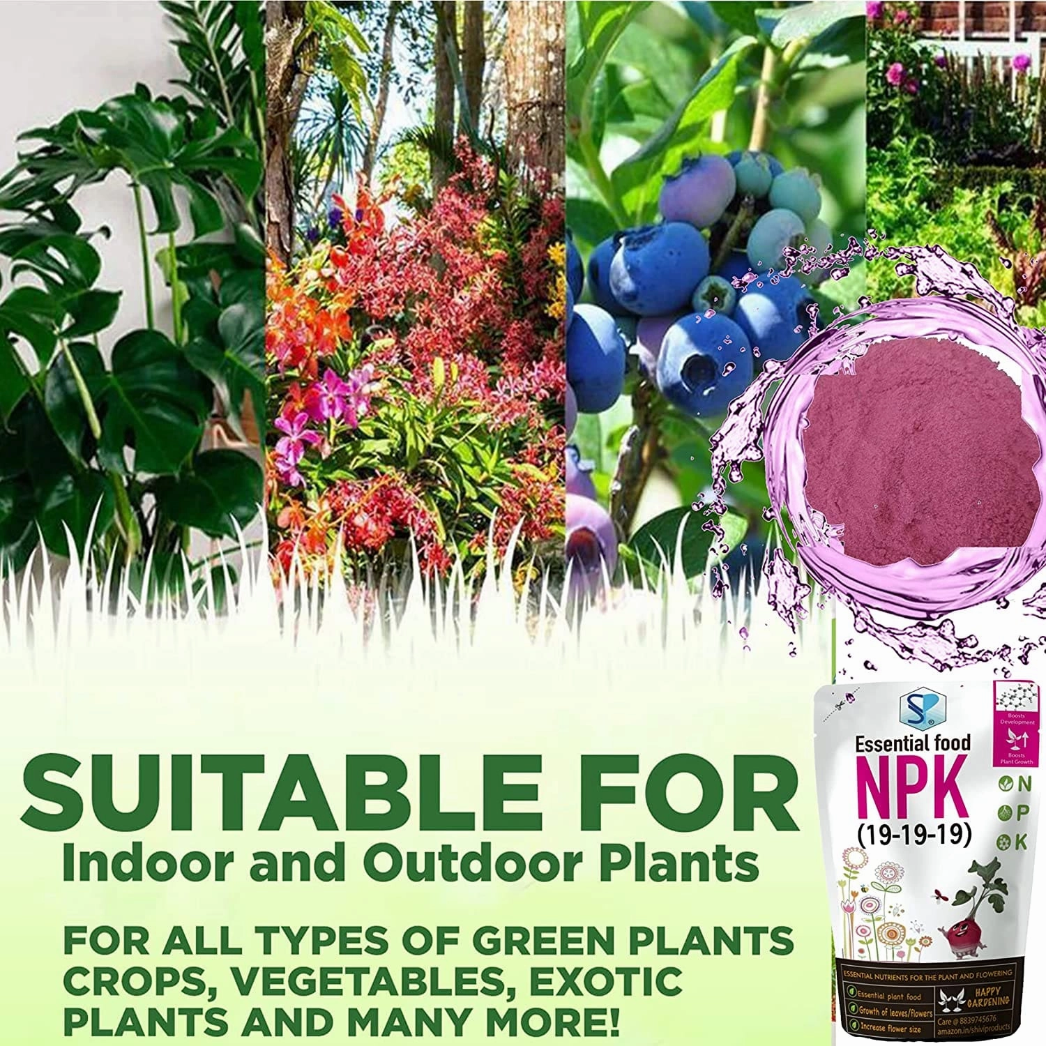 NPK 19 19 19 Fertilizers For Plants
