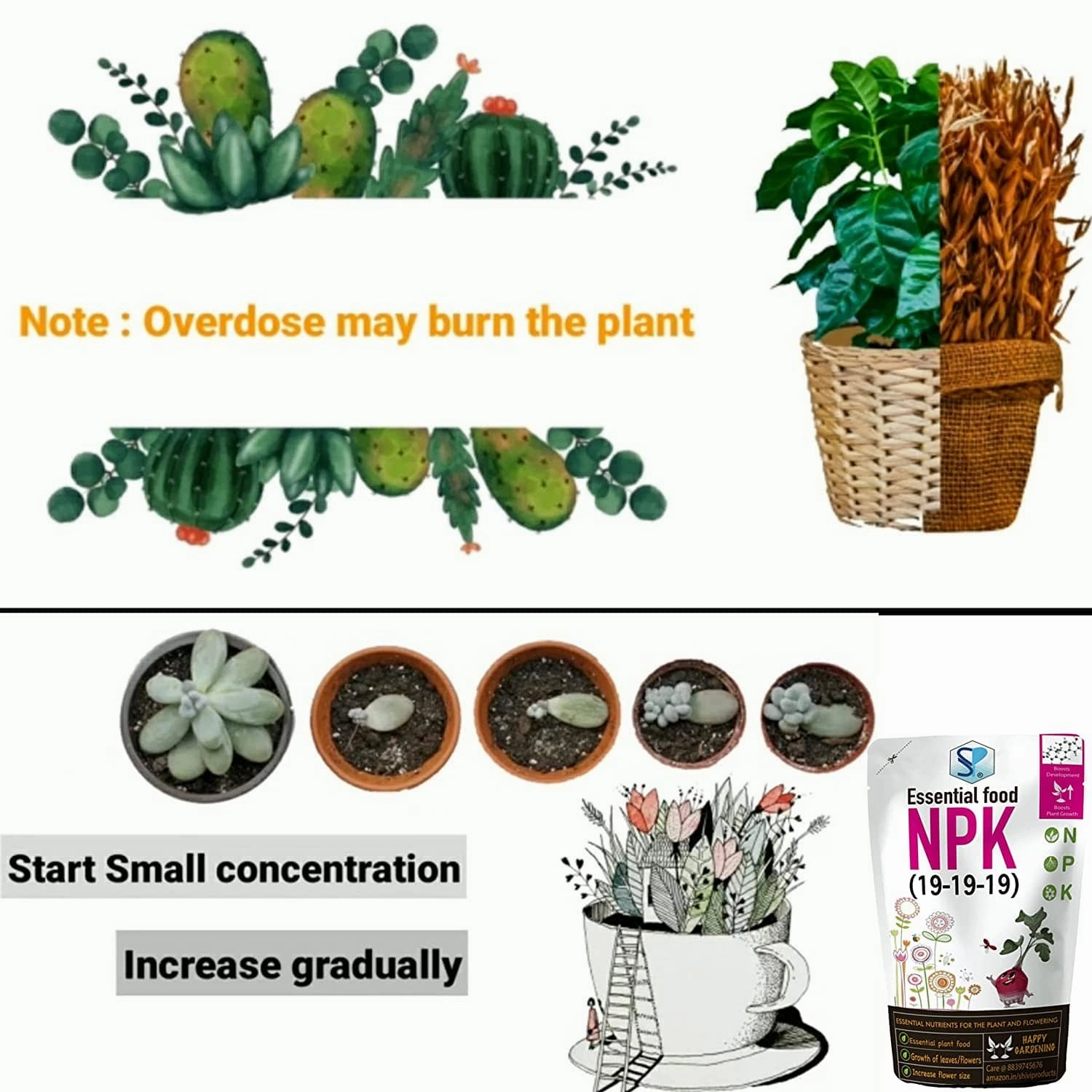 NPK 19 19 19 Fertilizers For Plants