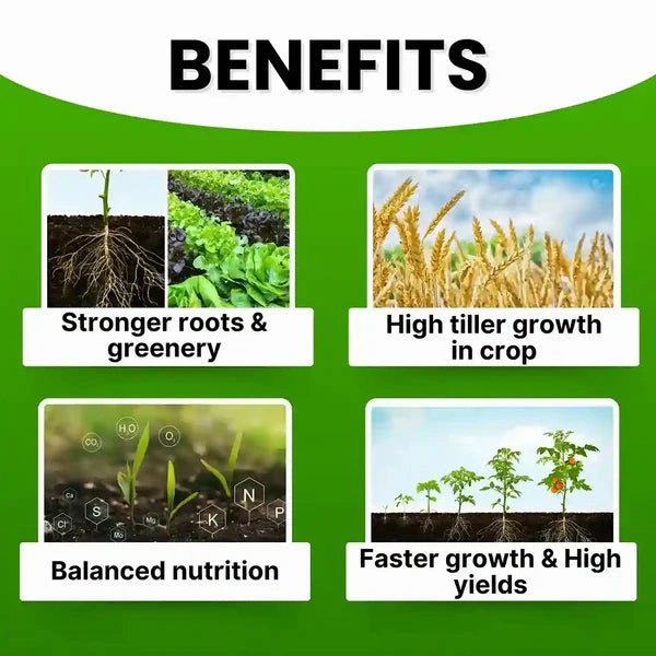 NPK 19:19:19 Soil Fertilizer