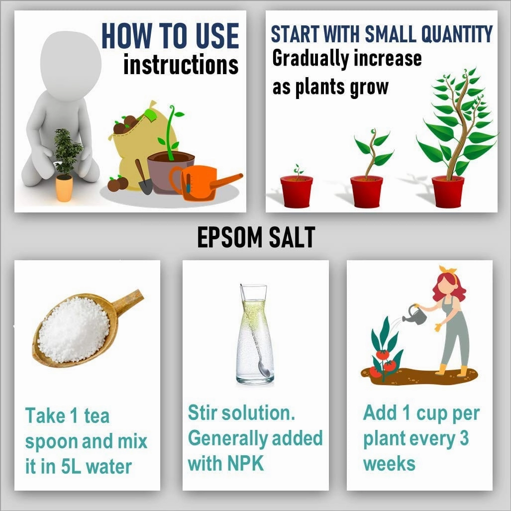NPK Fertilizer (300 gm)   Epsom Salt (150 gm)