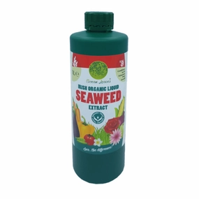 Ocean Leaves Irish Organic Liquid Seaweed Extract 1 Litre,garden compost bin