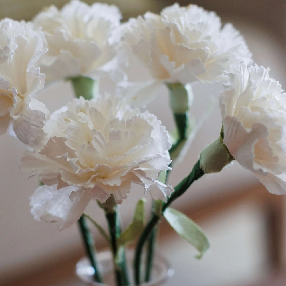 Oeillet en papier blanc