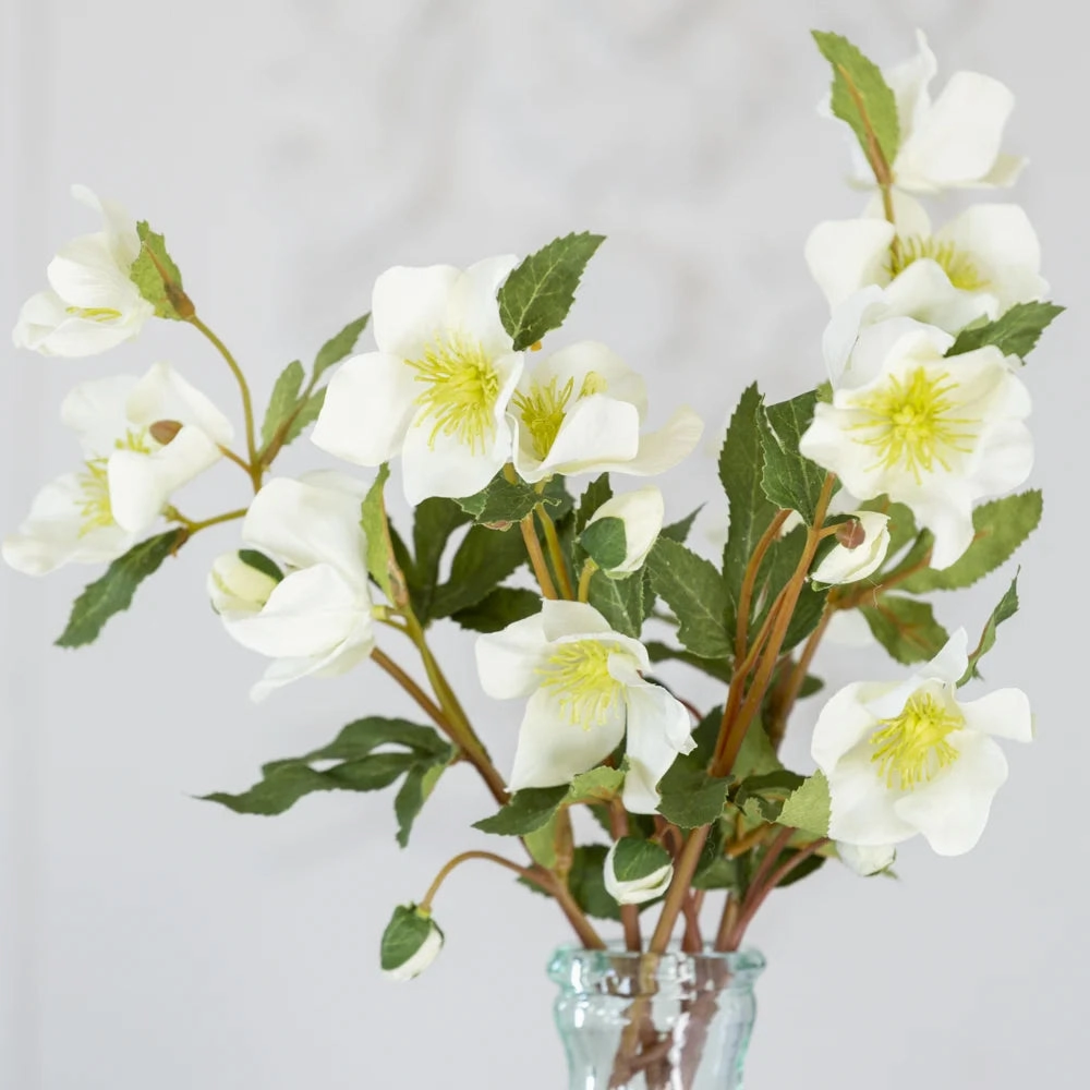 Off White Hellebore Stem 44cm